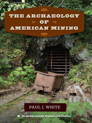 cover image of The Archaeology of American Mining